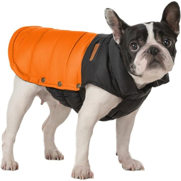 Space Lion Dog Winter Coat L Black & Orange Puffer Jacket With Hood Snap Buttons - Picture 1 of 7